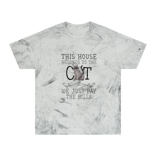 Cat Lover T-Shirt — "This House Belongs to the Cat, We Just Pay the Bills"